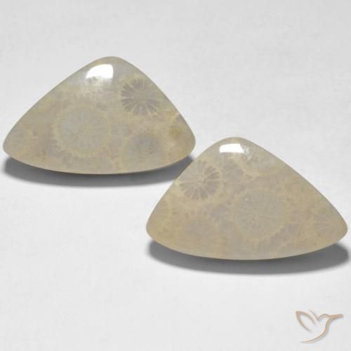 19.10ctw Natural Multicolor Coral, Elegante, Opaco