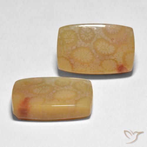 Gemas de Coral Multicolor natural de 23.35 ct, Forma Cojín, Translúcido