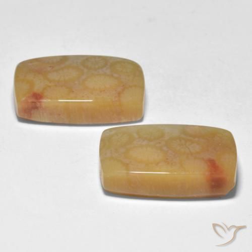 Gemas de Coral Multicolor natural de 23.35 ct, Forma Cojín, Translúcido