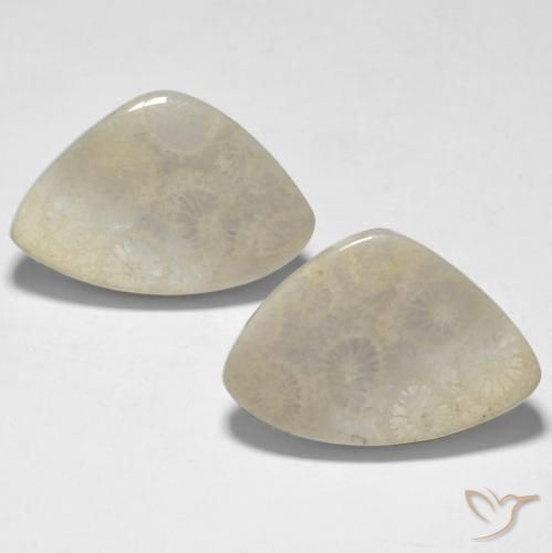 23.71ctw Natural Multicolor Coral, Elegante, Opaco