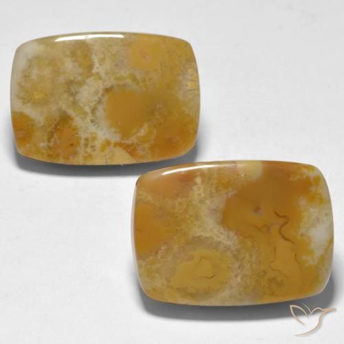 28.12ctw Natural Multicolor Coral, Forma Cojín, Opaco