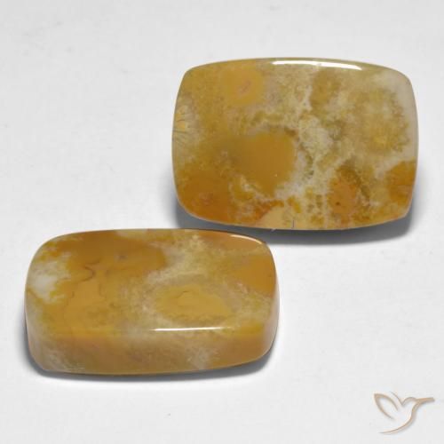 Gemas de Coral Multicolor natural de 28.12 ct, Forma Cojín, Opaco