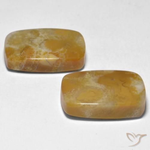 Gemas de Coral Multicolor natural de 28.12 ct, Forma Cojín, Opaco
