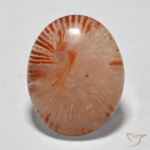 9.94ct Natural Multicolor Coral, Ovalada, Translúcido