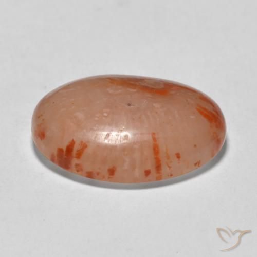 Coral Multicolor natural de 9.94 ct, Ovalada, Translúcido