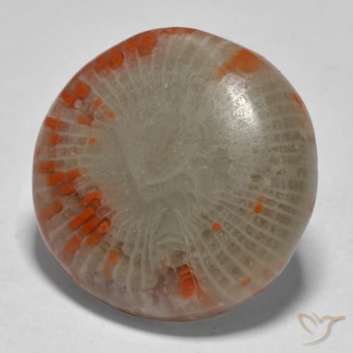 Coral Multicolor natural de 13.11 ct, Redondo, Translúcido