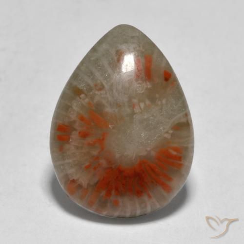 5.31ct Natural Multicolor Coral, En forma de pera, Translúcido