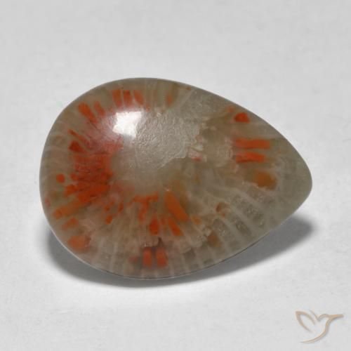 Coral Multicolor natural de 5.31 ct, En forma de pera, Translúcido