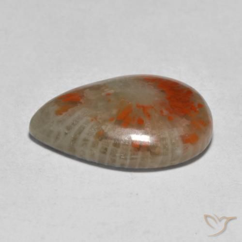 Coral Multicolor natural de 5.31 ct, En forma de pera, Translúcido