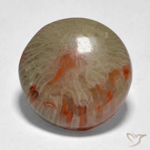 9.21ct Natural Multicolor Coral, Redondo, Translúcido