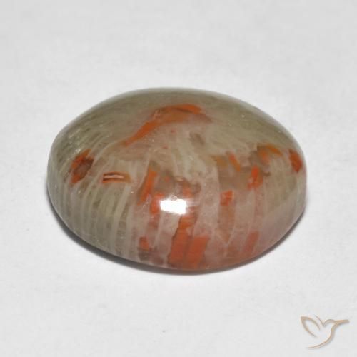 Coral Multicolor natural de 9.21 ct, Redondo, Translúcido