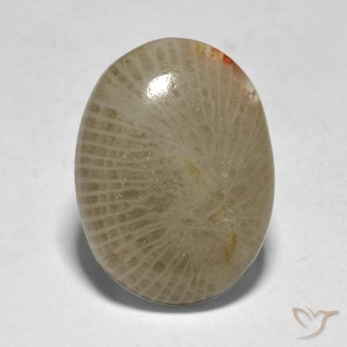 7.50ct Natural Multicolor Coral, Ovalada, Translúcido