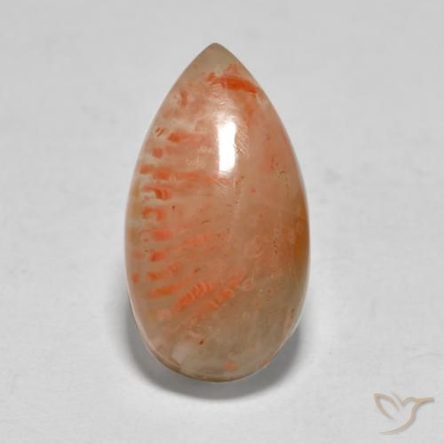 5.79ct Natural Multicolor Coral, En forma de pera, Translúcido