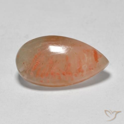 Coral Multicolor natural de 5.79 ct, En forma de pera, Translúcido
