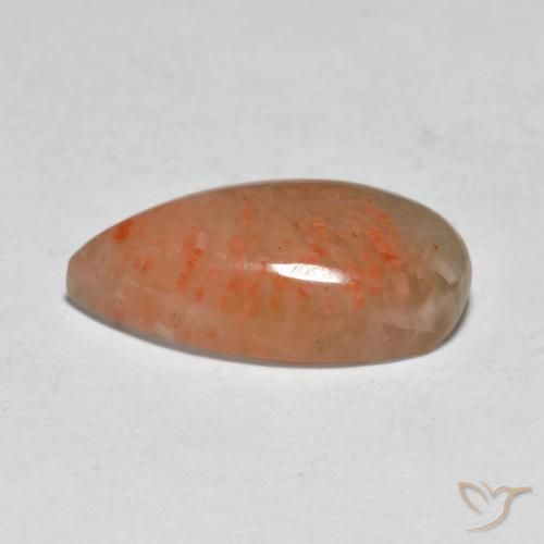 Coral Multicolor natural de 5.79 ct, En forma de pera, Translúcido