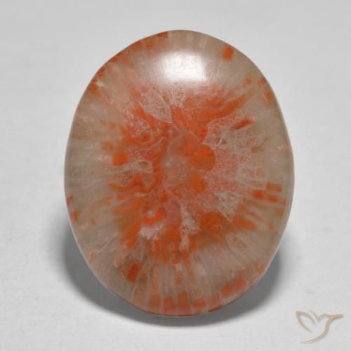11.21ct Natural Multicolor Coral, Ovalada, Translúcido