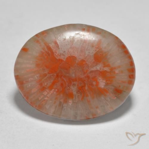 Coral Multicolor natural de 11.21 ct, Ovalada, Translúcido