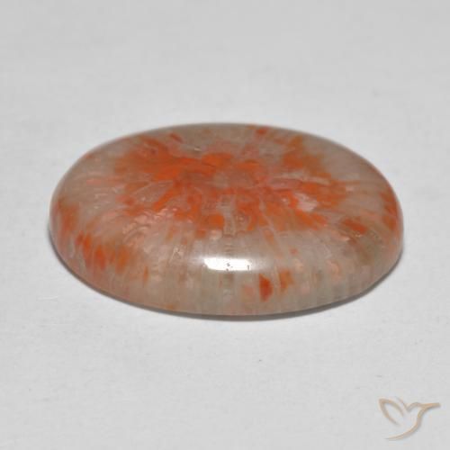 Coral Multicolor natural de 11.21 ct, Ovalada, Translúcido