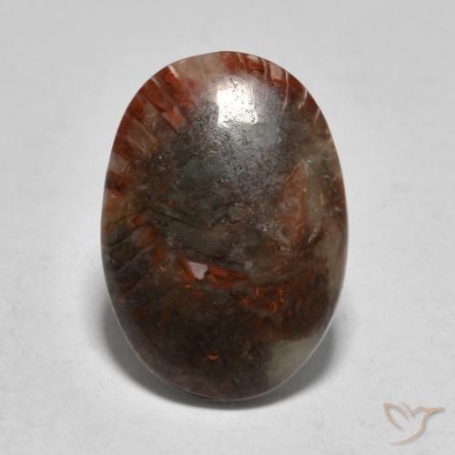 3.57ct Natural Multicolor Coral, Ovalada, Translúcido