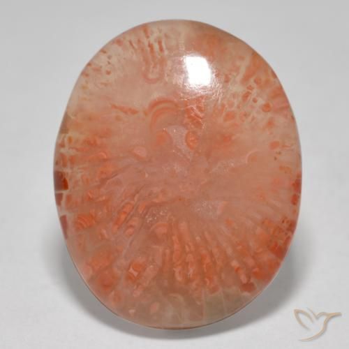 12.52ct Natural Multicolor Coral, Ovalada, Translúcido