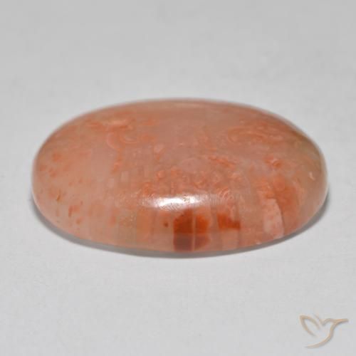 Coral Multicolor natural de 12.52 ct, Ovalada, Translúcido
