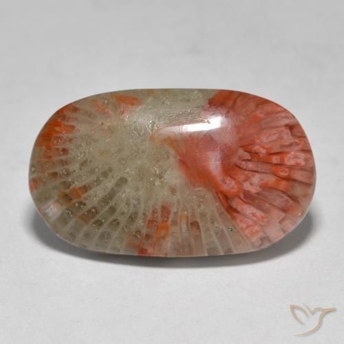 7.97ct Natural Multicolor Coral, Ovalada, Translúcido, Photo A