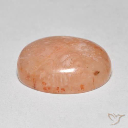Coral Multicolor natural de 8.68 ct, Ovalada, Translúcido
