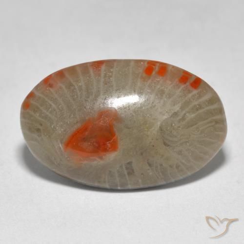 9.31ct Natural Multicolor Coral, Ovalada, Translúcido