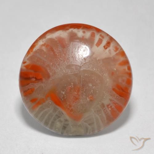 5.76ct Natural Multicolor Coral, Redondo, Translúcido