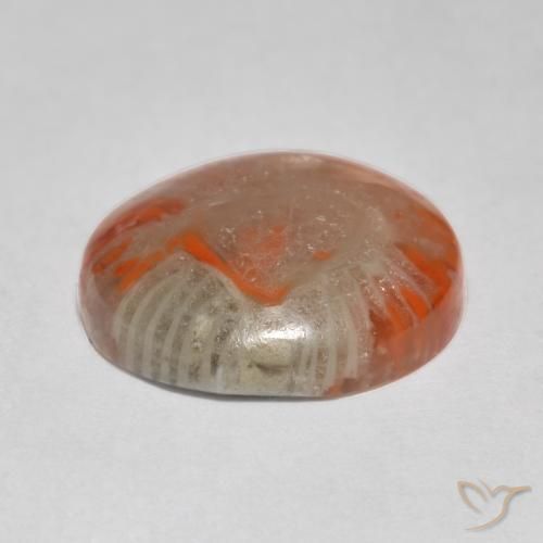 Coral Multicolor natural de 5.76 ct, Redondo, Translúcido