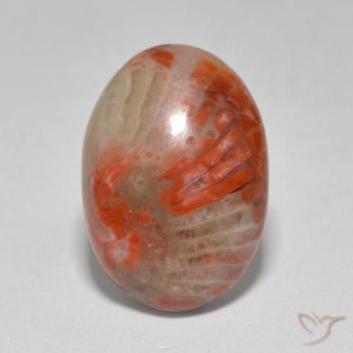 6.07ct Natural Multicolor Coral, Ovalada, Translúcido