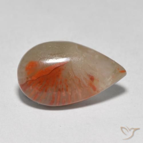 Coral Multicolor natural de 4.61 ct, En forma de pera, Translúcido