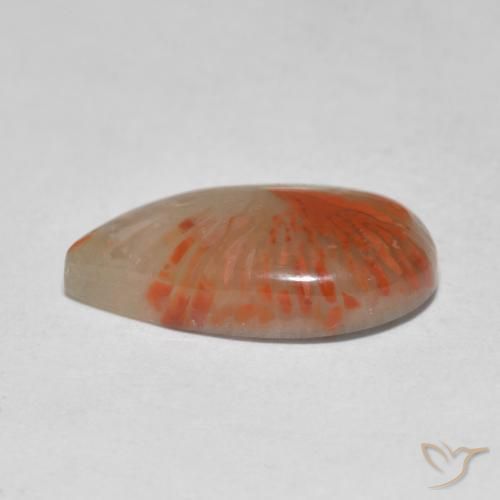 Coral Multicolor natural de 4.61 ct, En forma de pera, Translúcido
