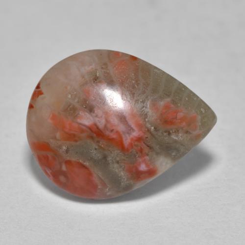 Coral multicolor natural de 3,60 ct, en forma de pera, translúcido