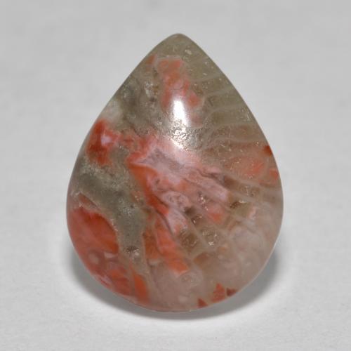 Coral multicolor natural de 3,60 ct, en forma de pera, translúcido