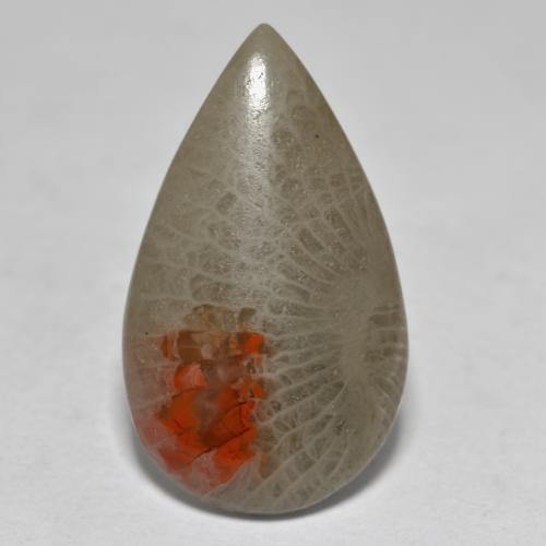 Coral multicolor natural de 10,70 ct, en forma de pera, translúcido