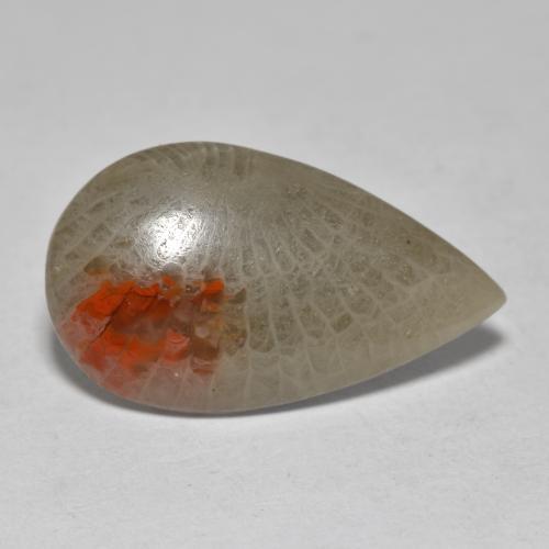 Coral multicolor natural de 10,70 ct, en forma de pera, translúcido
