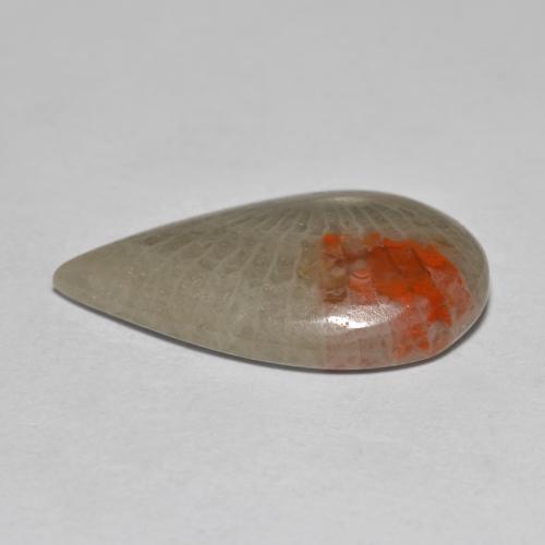 Coral multicolor natural de 10,70 ct, en forma de pera, translúcido