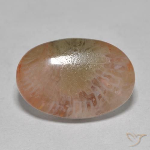 7.25ct Natural Multicolor Coral, Ovalada, Translúcido, Photo A
