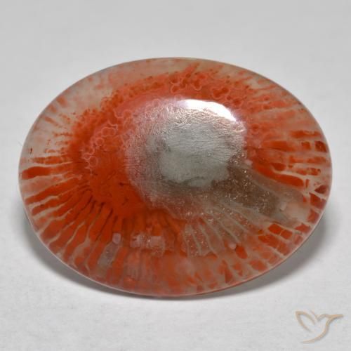 Coral multicolor natural de 8,54 ct, corte óvalo, translúcido