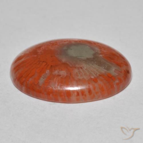 Coral multicolor natural de 8,54 ct, corte óvalo, translúcido