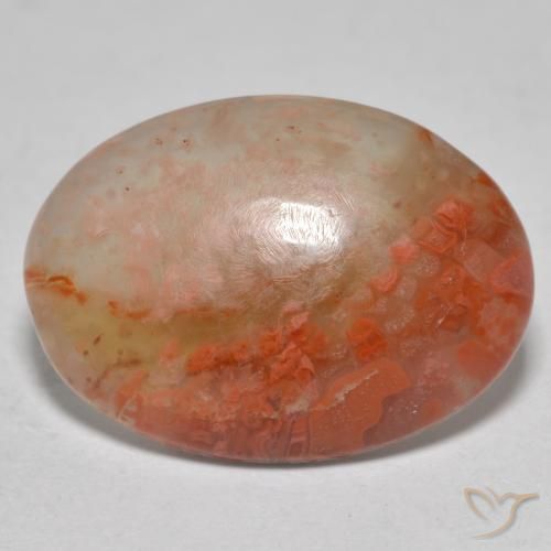8.13ct Natural Multicolor Coral, Ovalada, Translúcido