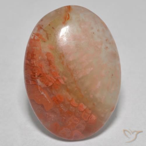 Coral Multicolor natural de 8.13 ct, Ovalada, Translúcido