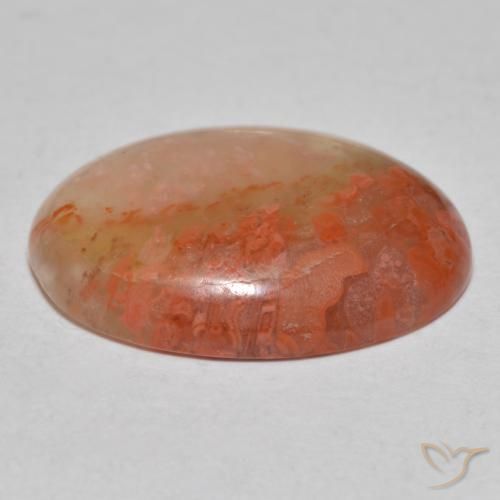 Coral Multicolor natural de 8.13 ct, Ovalada, Translúcido