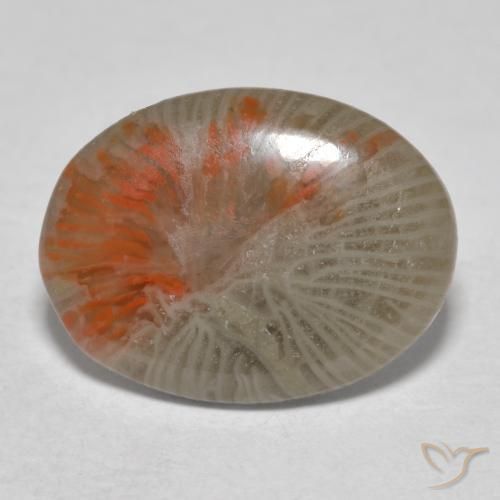 4.11ct Natural Multicolor Coral, Ovalada, Translúcido