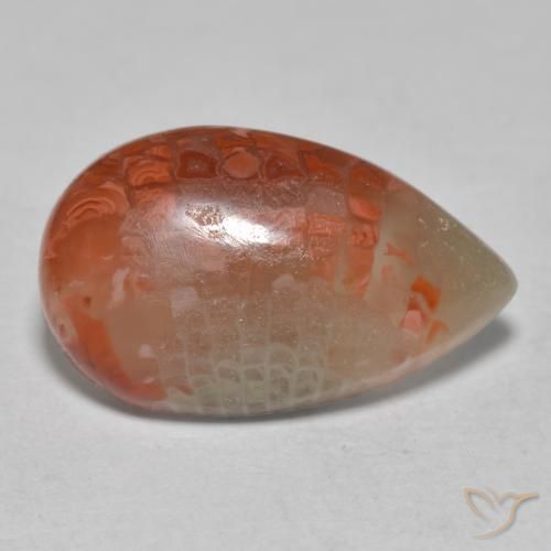 Coral Multicolor natural de 6.49 ct, En forma de pera, Translúcido