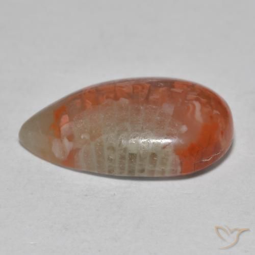 Coral Multicolor natural de 6.49 ct, En forma de pera, Translúcido