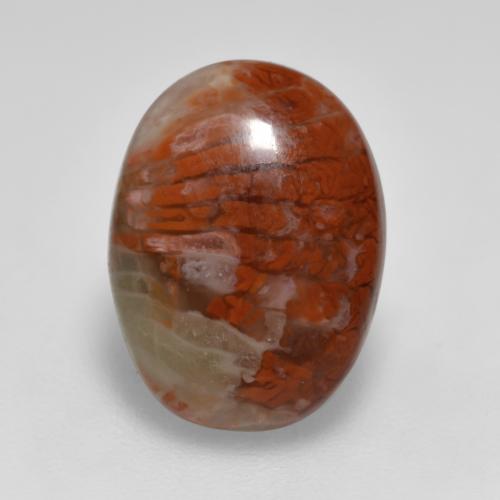 Coral Multicolor natural de 4.12 ct, Corte Óvalo, Translúcido