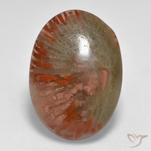 8.55ct Natural Multicolor Coral, Ovalada, Translúcido