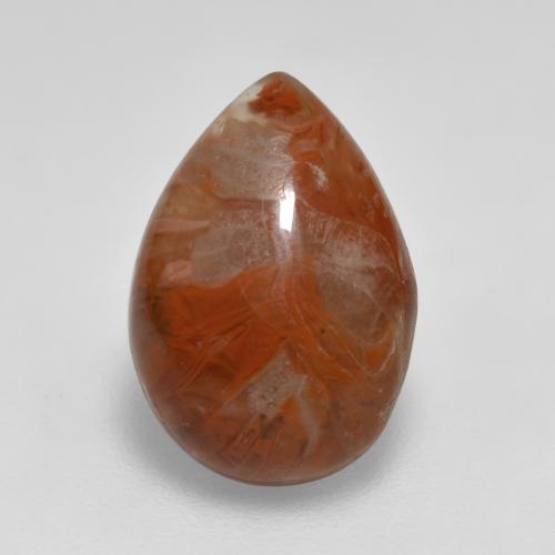 Coral Multicolor natural de 3.56 ct, En forma de pera, Translúcido